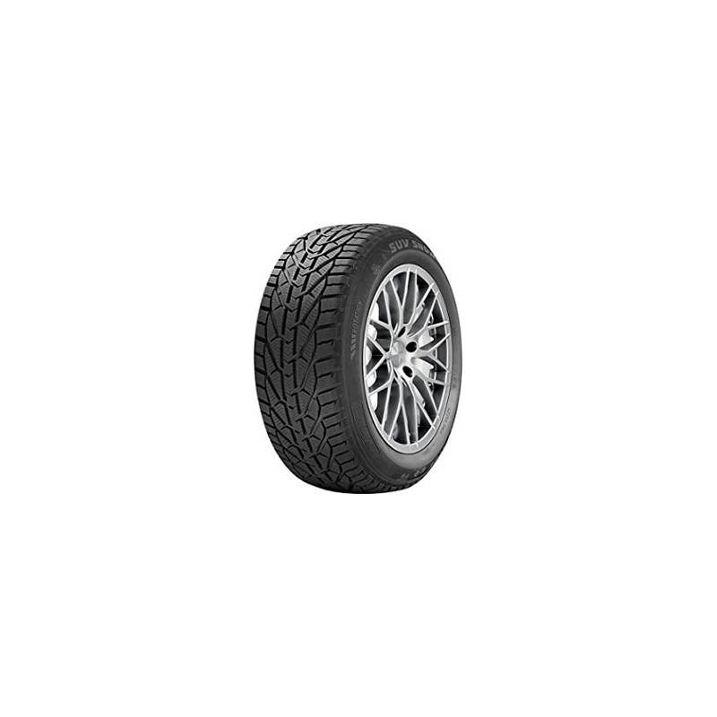 Riken SNOW 215/65 R17 99H: Recensione Tecnica e Prestazioni